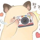 베트남노상식당 목동드림타워점 네이버블로그