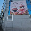 광주 용봉동 설빙 abc초코쿠키 설빙 내돈내산 후기