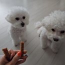 동이네집 이미지