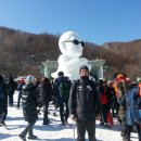 눈이야기 이미지