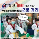 아리랑 멋 타리 태권도장 이미지