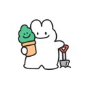 코코하니 이미지