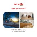 10월의 왈츠 이미지