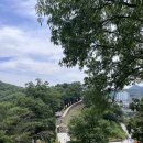 카페보니비 | 충남 공주 가볼만한곳 곰골식당/공산성/카페보니비 솔직후기