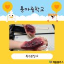 용아중학교 이미지