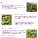 미원목장 이미지