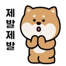 카페살뤼