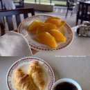 라운딩 | 구마모토 골프 아카미즈cc 라운딩 후기 자연 속 힐링 일본 해외골프투어 추천