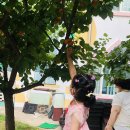 열매유치원 이미지