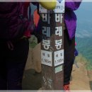 덕과면 용산마을 이미지