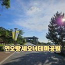 성안 벽화마을 조형 | 포항아이랑가볼만한곳 연오랑세오녀테마공원 방문후기