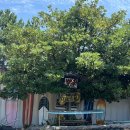 남열해돋이해수욕장 | [전남] 고흥 남열해돋이해수욕장 | 순천 근교 여행 | 서핑 캠핑 하기 좋은 곳 꿀팁