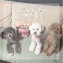 보스독 | 강아지 사료 l 고단백 저지방 동결건조 사료 [보스독]