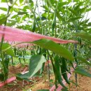 해오름 농장 이미지