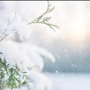 송이부동산공인중개사사무소 이미지