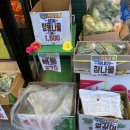 늘푸른야채청과 이미지