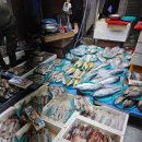 지동농장 이미지