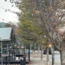 산내천 | 청도 글램핑 팜스토리 자연 속 감성 충전! 반려견과 함께한 힐링 글램핑 후기