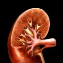 다니엘종합병원 이미지