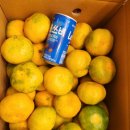 콩이네하우스 이미지