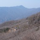 백운산불고기