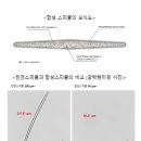 글로벌비엔 머니투데이