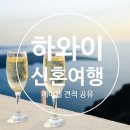 나의허니문여행 이미지