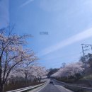 사직안채 이미지
