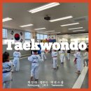 센텀태권도장 이미지