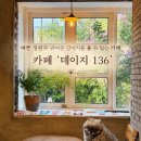 커브스 둔산타임클럽 | 대전 데이지 136 귀여운 강아지와 고양이가 있는 정원이 예쁜 카페 내돈내산 솔직후기