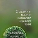 흔적 남기기💖 사모 노래 한 곡 올립니다 이미지