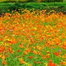 구일소공원 이미지