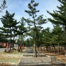 지경해수욕장에서의 전세캠핑