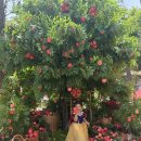 망월로 | 의정부 키즈카페 나크타 베이커리카페 후기 백설공주 컨셉 아이랑 가볼만한곳