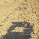 골말농장 이미지