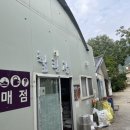 문수골 힐링캠핑장 이미지
