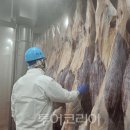 도축장인