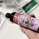 포케올데이 춘천점 이미지