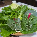 호숫가의 풍경 | 빈그릇맛집 대전 장태산 쌈밥 수육 점심 맛집 호숫가에서 본점