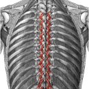 신월동004 이미지