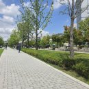 연세 | 집사TV 시즌2 뮤지컬 후기, 연세대학교 백주념기념관 콘서트홀 시야 좌석