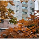 권선자이송이공인중개사사무소 | 권선동권선자이 고객 신뢰를 지키는 부동산 중개 서비스 후기