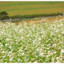 성산교회 앞 버스정류장 이미지