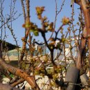 오륙도중학교 이미지