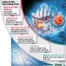 청산-비상1호 | 26.8.21(금)