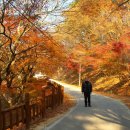 깊어가는 가을에 걷기를 추천하고 싶은 길2 -- 고창 문수사에서 금곡영화마을과 축령산 편백나무 숲까지 이미지