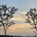 오가네캠핑 이미지