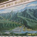 샤넬부동산공인중개사사무소 이미지