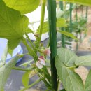 얼룩이농장 이미지