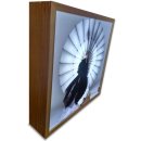 패브릭 아트 이미지